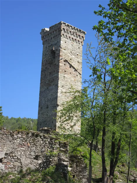 La torre medioevale dopo il disboscamento